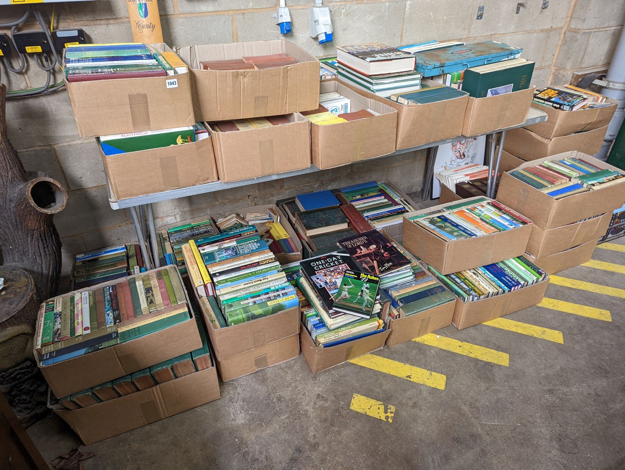 A large collection of assorted books relating to cricket including some Wisden Almanacs